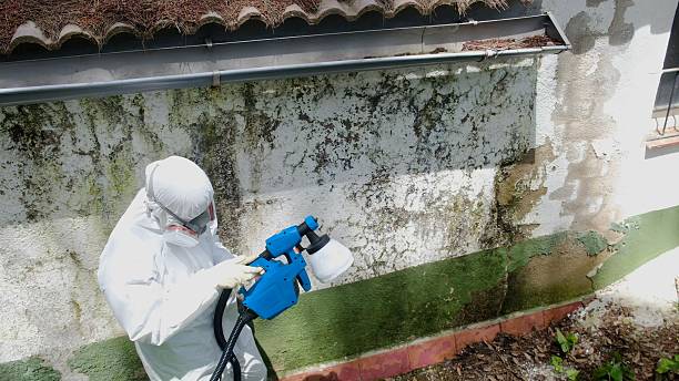 Trusted Commercial Mold Remediation service in Framingham, MA - Cheap Mold Removal